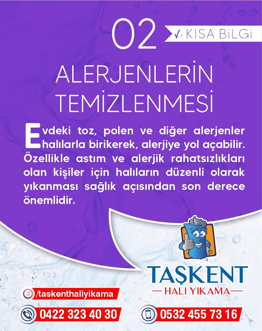 Alerjenlerin Temizlenmesi