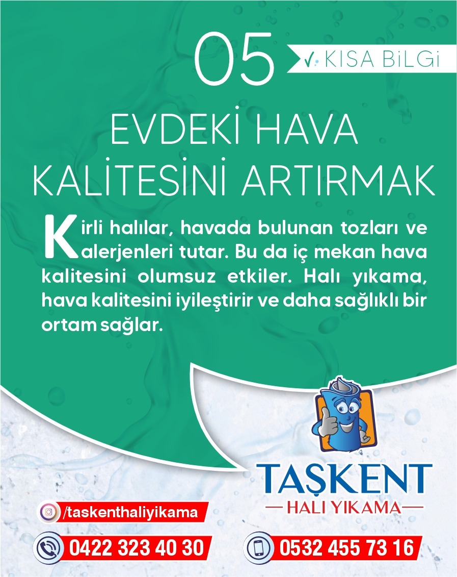 Evdeki Hava Kalitesini Arttırmak